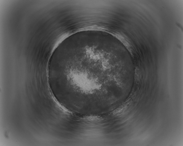 X0000097870998200803281157