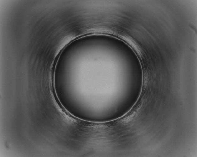 X0000097870999200803281157