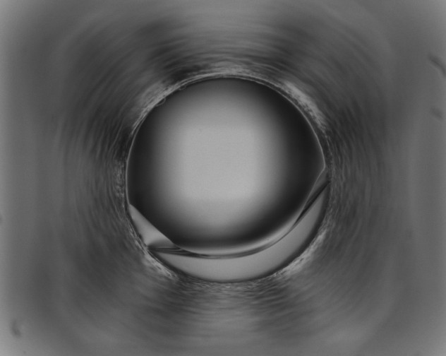 X0000097871001200803281157