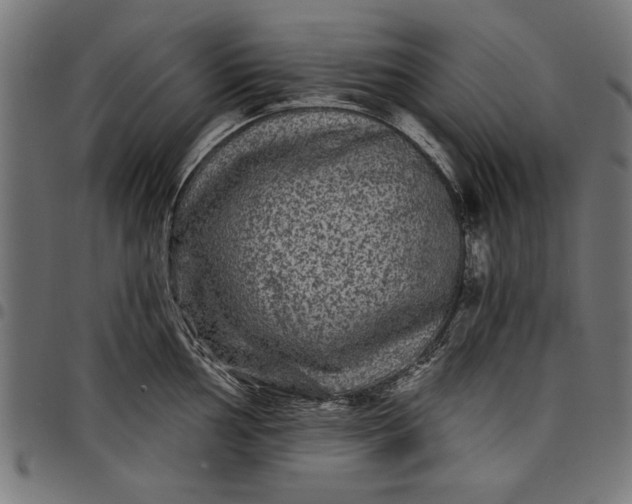 X0000097871002200803281157