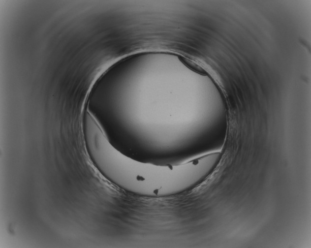 X0000097871004200803281157