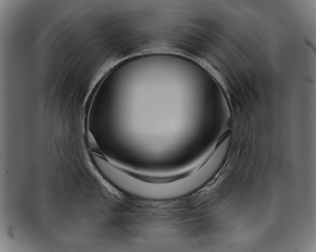X0000097871005200803281157