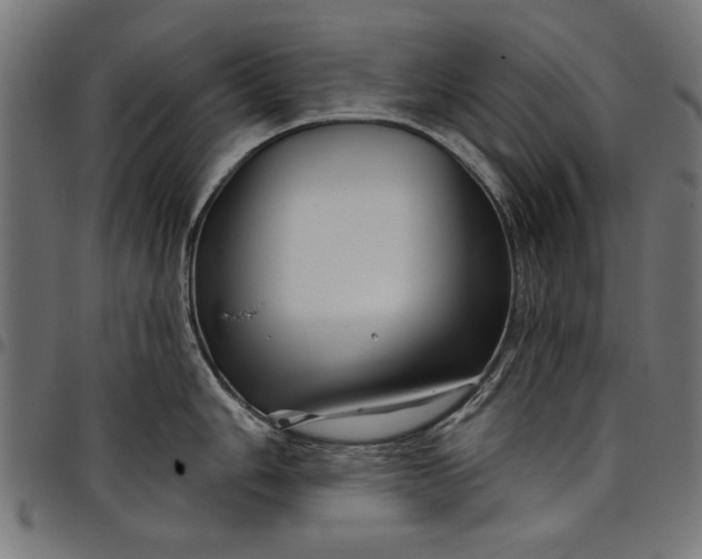 X0000097871006200803281157