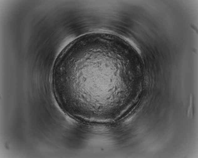 X0000097871007200803281157