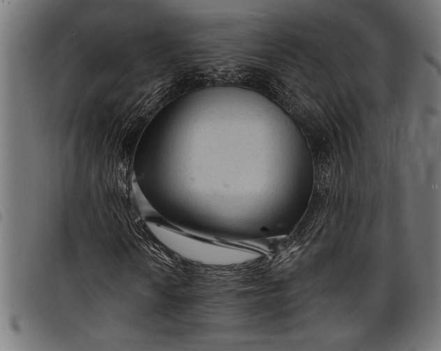X0000097871010200803281156