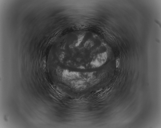 X0000097871011200803281156
