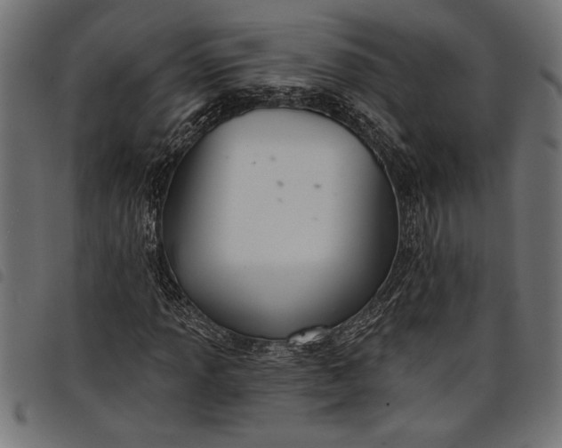 X0000097871013200803281156