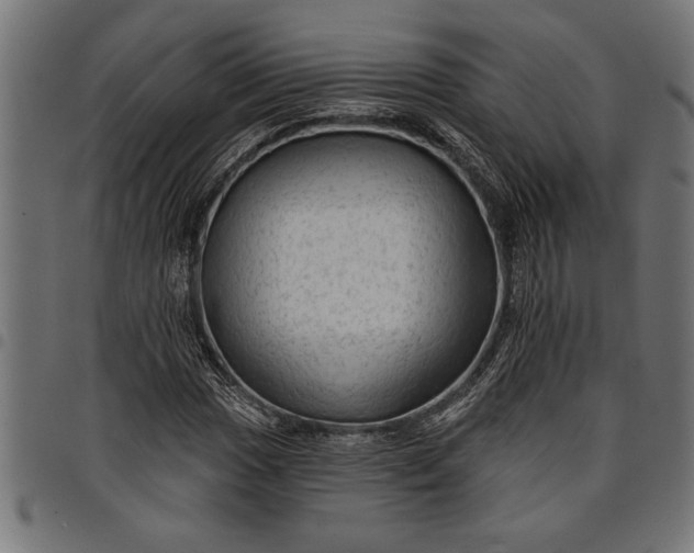 X0000097871017200803281156