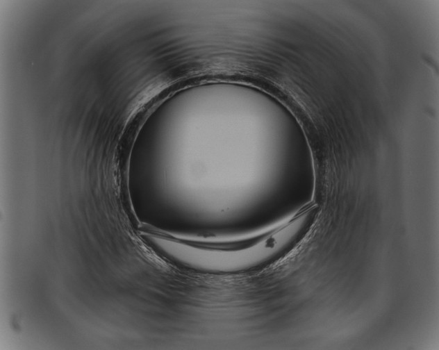 X0000097871018200803281156