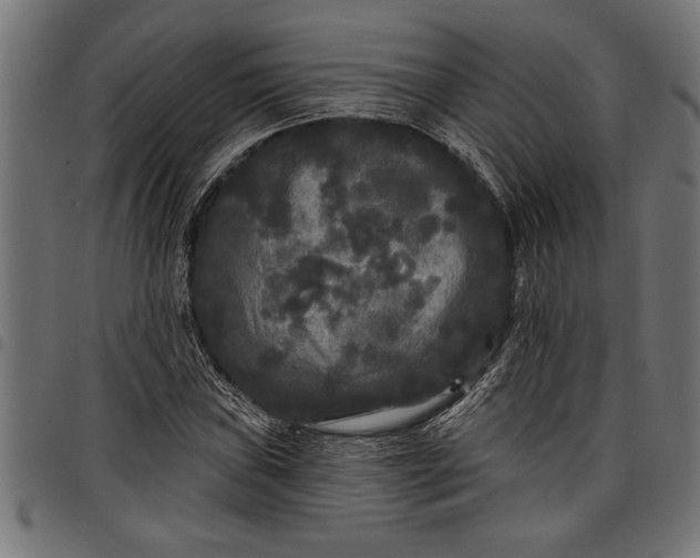 X0000097871019200803281156