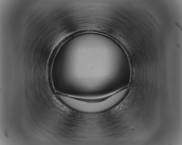 X0000097871020200803281156