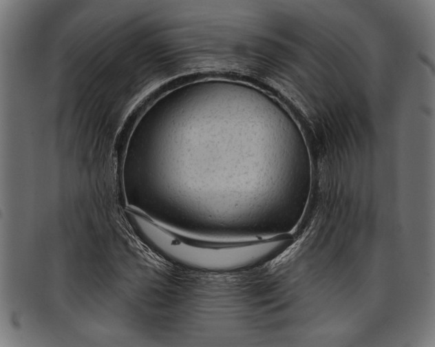 X0000097871021200803281156