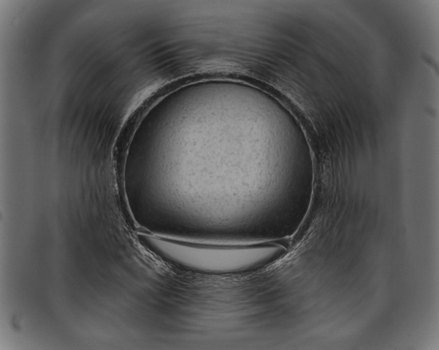 X0000097871022200803281156