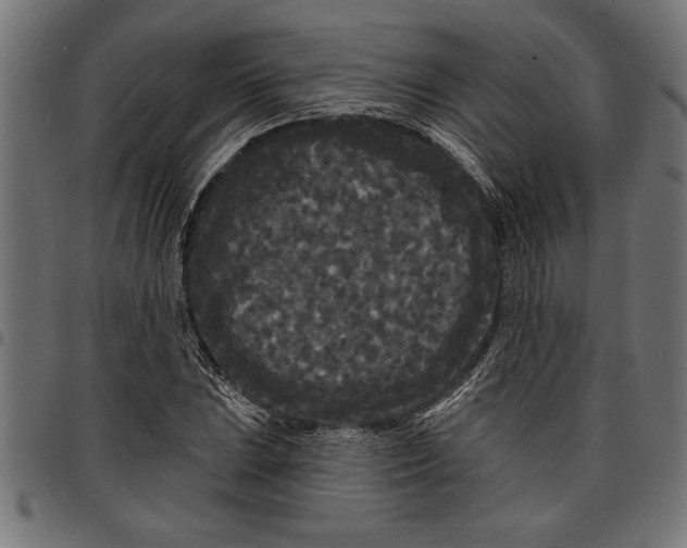 X0000097871023200803281156