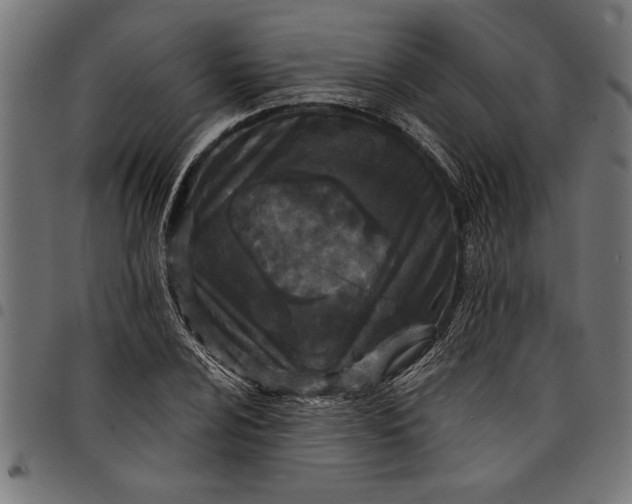 X0000097871024200803281156