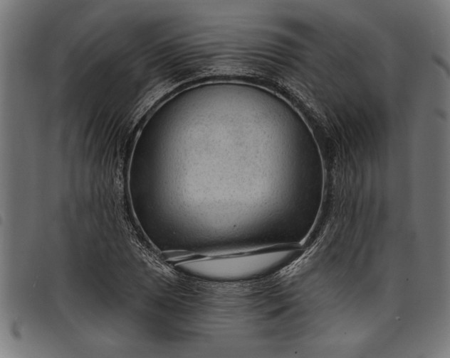 X0000097871025200803281156