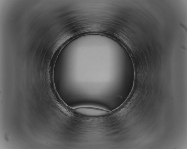 X0000097871026200803281156