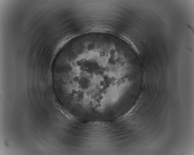 X0000097871027200803281156