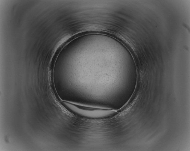 X0000097871029200803281156