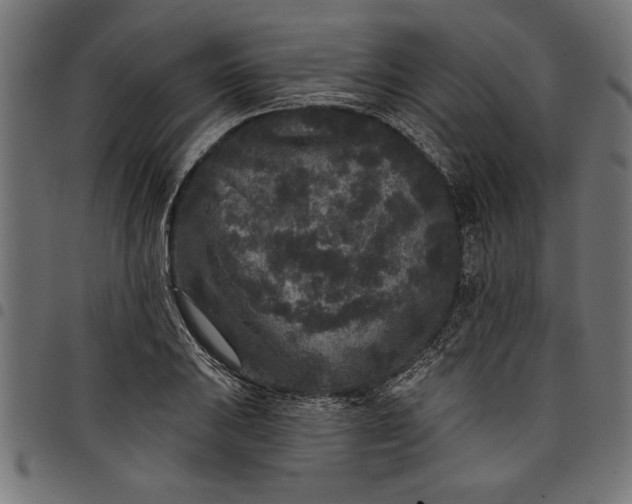 X0000097871031200803281157