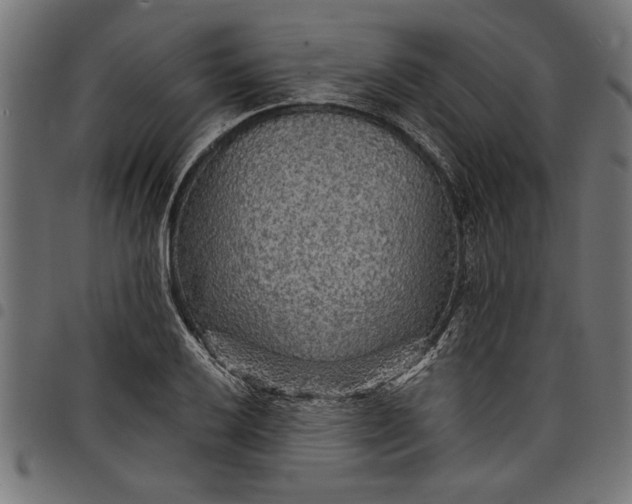 X0000097871032200803281157