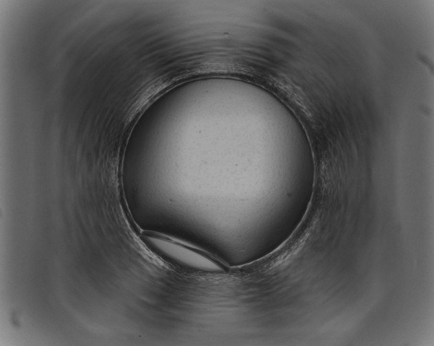 X0000097871033200803281157