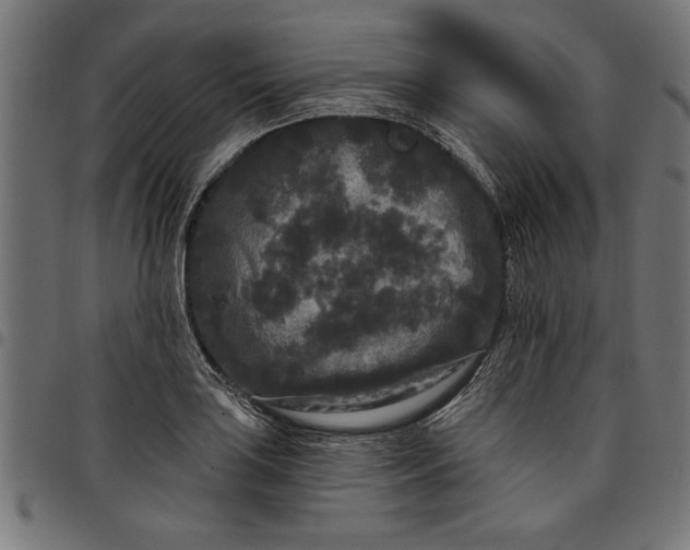 X0000097871035200803281157