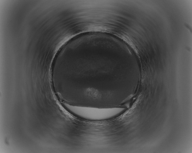 X0000097871037200803281157