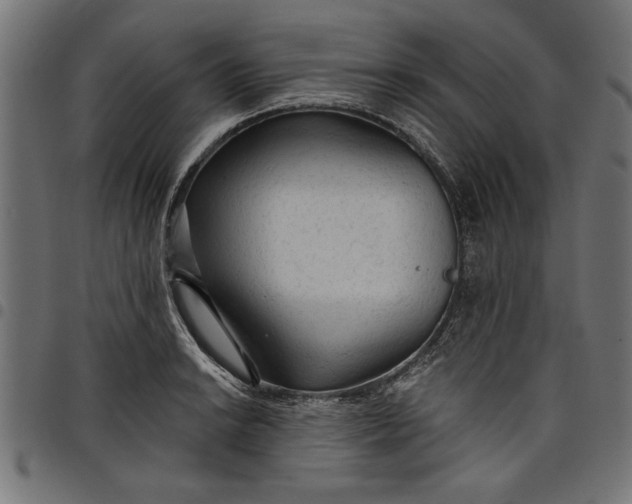 X0000097871038200803281157
