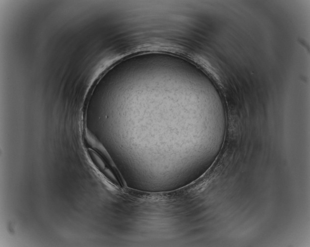 X0000097871040200803281157