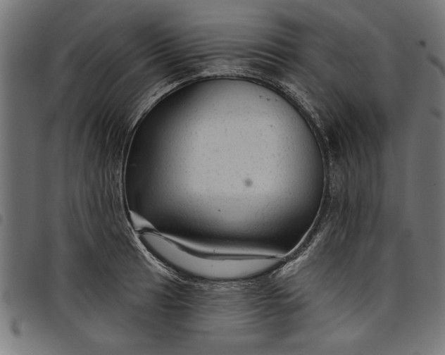 X0000097871041200803281157