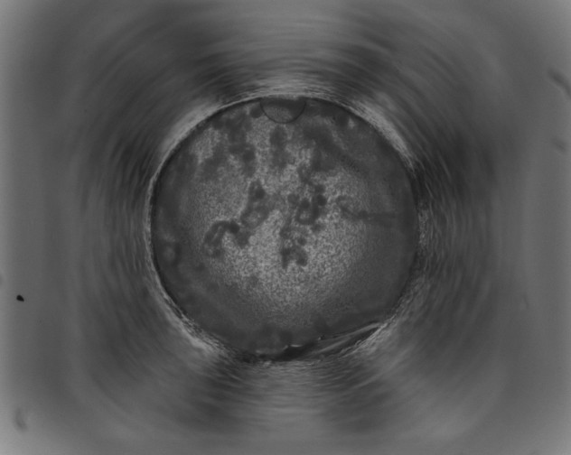 X0000097871043200803281157