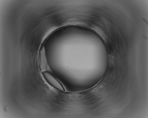 X0000097871046200803281157