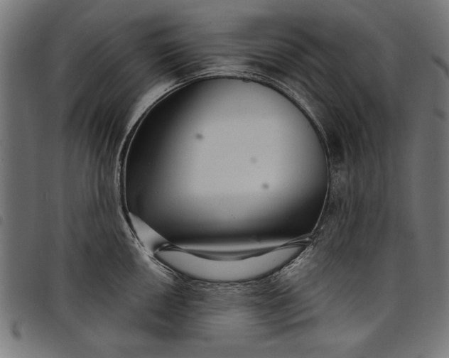 X0000097871050200803281157
