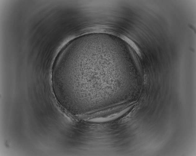 X0000097871051200803281157