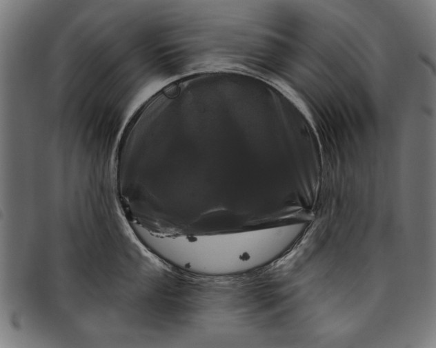 X0000097871053200803281157