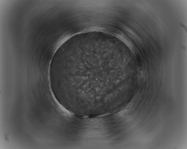 X0000097871055200803281157