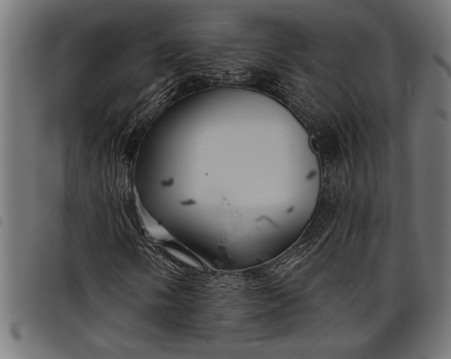 X0000097871058200803281156
