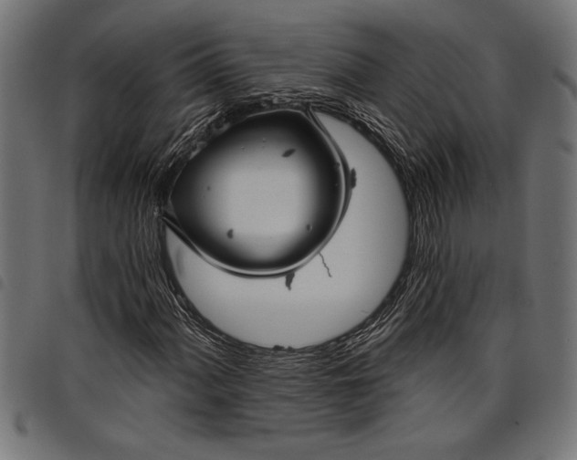 X0000097871060200803281156