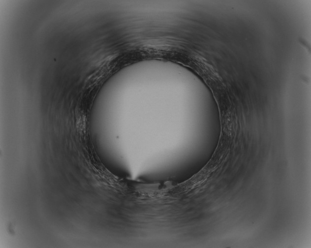 X0000097871061200803281156