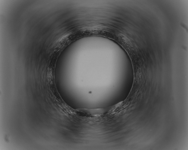 X0000097871062200803281156