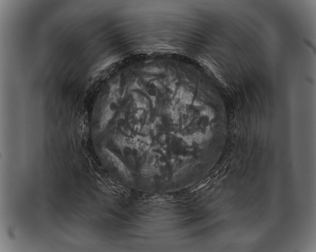 X0000097871063200803281156