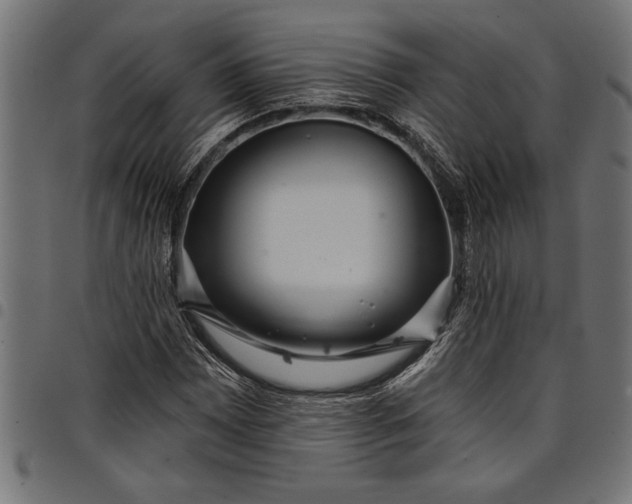 X0000097871065200803281156