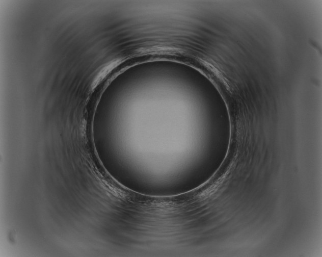 X0000097871066200803281156