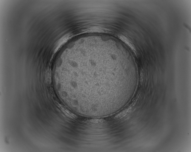 X0000097871067200803281156