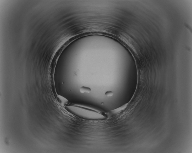 X0000097871068200803281156