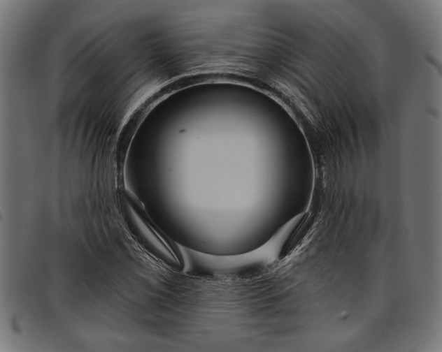 X0000097871069200803281156