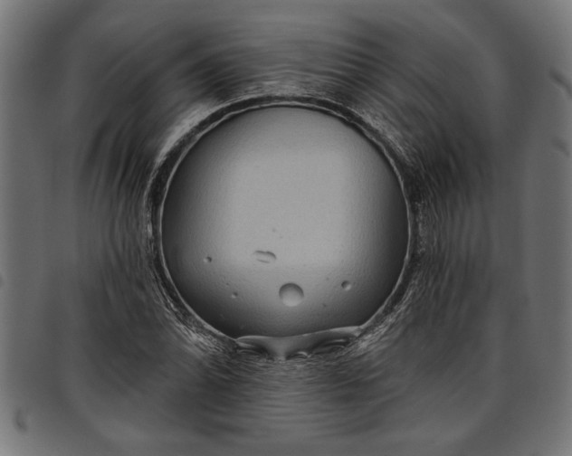 X0000097871070200803281156