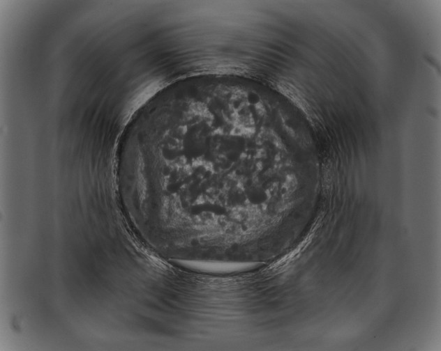 X0000097871071200803281156