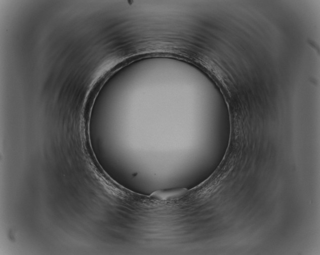 X0000097871072200803281156